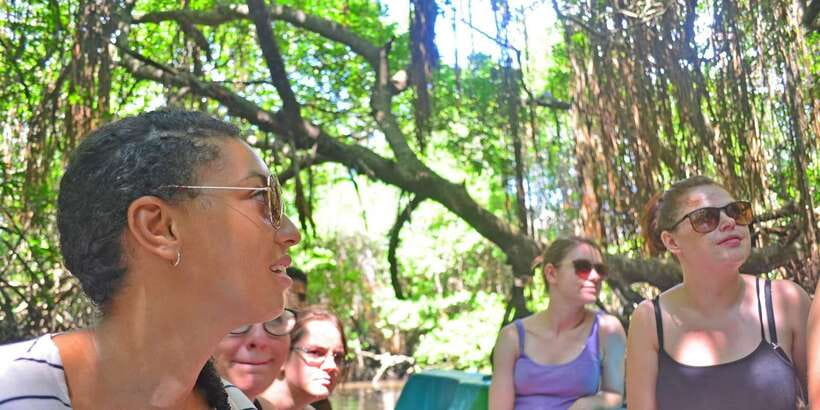 Galle Day Trip with River Safari, Sea Turtles & Tea Factory - Start with the Bentota River mangroves
