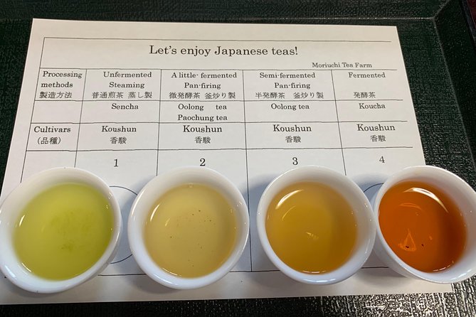 Guided Bike Tour to a Green Tea Farm in Shizuoka (not e-bikes) - From Shizuoka Station to the tea fields