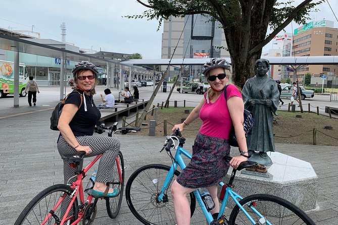 Guided Bike Tour to a Green Tea Farm in Shizuoka (not e-bikes) - Shizuoka Sengen Shrine or Sumpu Castle Park