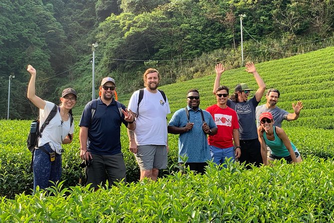Guided Bike Tour to a Green Tea Farm in Shizuoka (not e-bikes) - Who will enjoy this Shizuoka tour?