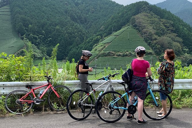 Guided Bike Tour to a Green Tea Farm in Shizuoka (not e-bikes) - Returning through Abekawa Park