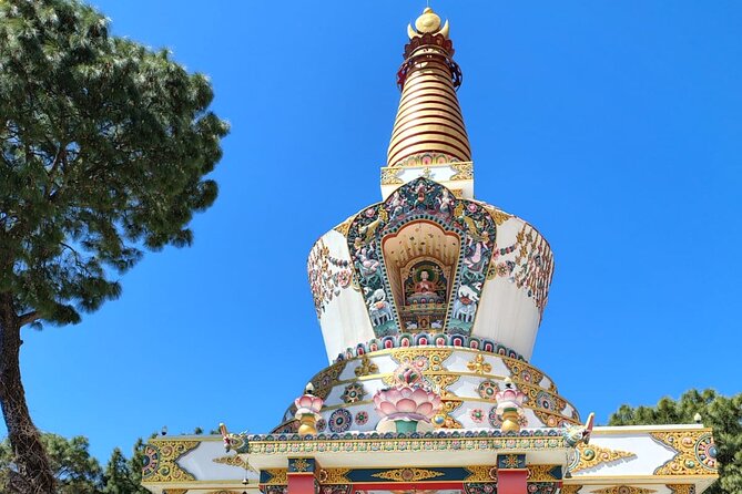 Guided Day Tour to Bir – Monasteries,Temple & Tea Garden Visit - The nunnery and the quieter final stop