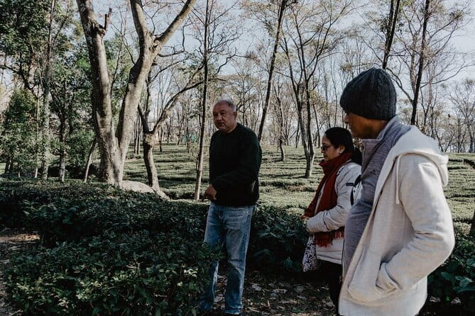 Guided Tour to Palampur-Monasteries, Temple & Tea Gardens visit - Dongyu Gatsal Ling Nunnery and women’s Buddhist practice