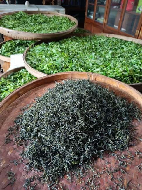 Guilin: City Tour with Elephant Hill & Ming Tea Tasting - The 3.5-kilometer ride to Yao Mountain