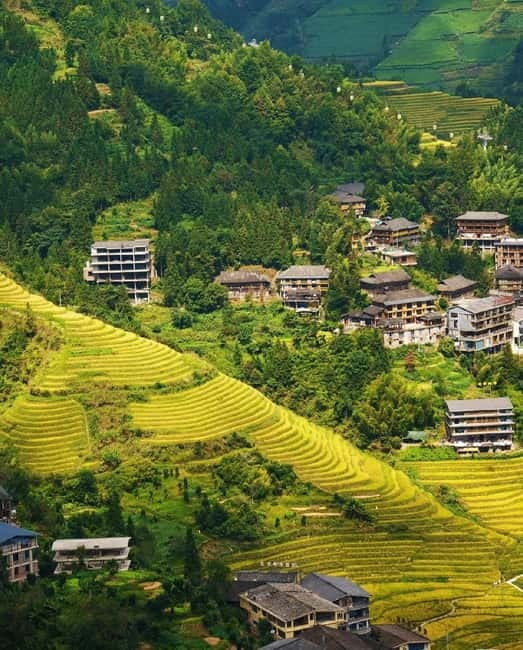 Guilin Longji: Rice Terrace with Oil-Tea Demo & Zhuang Lunch - Why Longji Works Best as More Than a Viewpoint