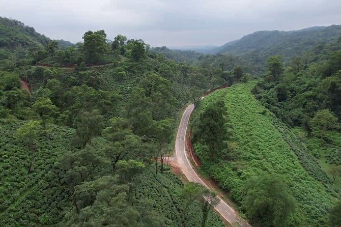 Guwahati Tea Garden tour @ Amchong - Why Amchong works as a Guwahati side trip