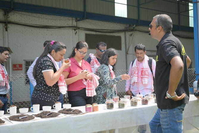 Guwahati Tea Garden tour @ Amchong - Tea tasting after the plucking session