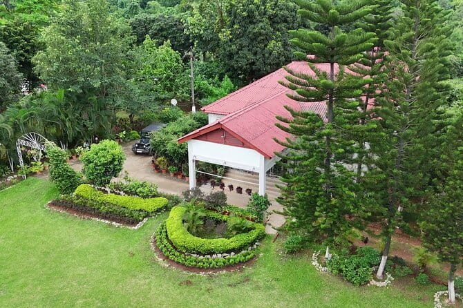 Guwahati Tea Garden tour @ Amchong - Starting at the nursery and tea fields