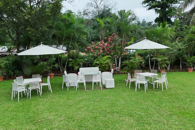 Guwahati Tea Garden Tour with Lunch & Hi Tea (Premium Experience) - Inside the Amchong Tea Factory