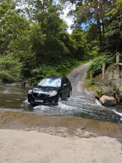 Half Day Fire Lake, Pineapple & Tea by SUV - Key points to know before booking
