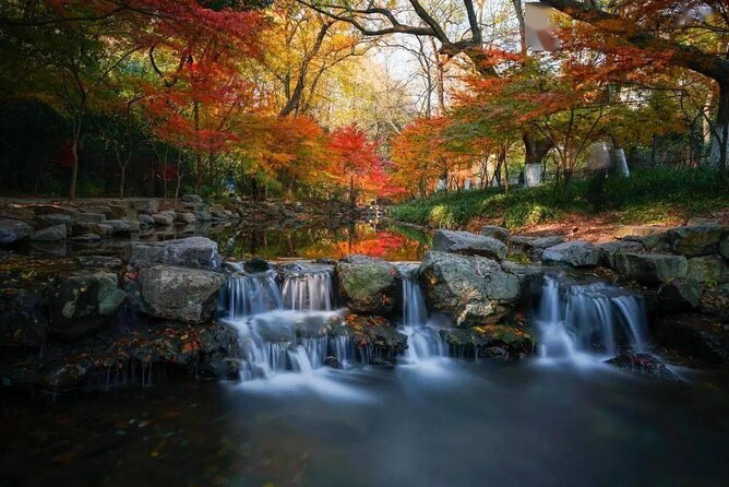 Half-Day Hangzhou Jiuxi Stream and Tea Plantation Experience - Is $118 per person good value?