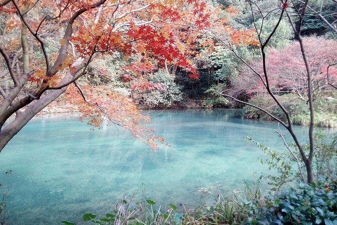 Half-Day Hangzhou Jiuxi Stream and Tea Plantation Experience - Morning or afternoon, and what to wear