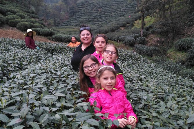 Half-Day Hangzhou Private Tour with Green Tea Village and Lingyin Temple - Why this Hangzhou half-day route works