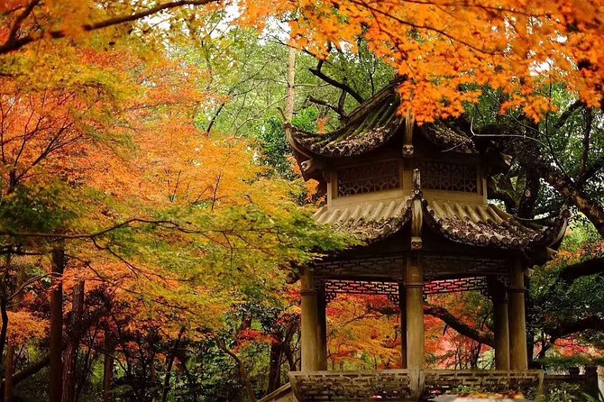 Half-Day Hangzhou Tianzhu Buddhist Mountain Hiking Tour with Green Tea Village - Starting at Fajing Temple after hotel or station pickup