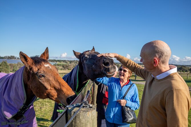 Half Day Living Legends tour with Devonshire Tea - Is $136.28 good value?