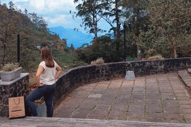Half-Day Private Trip to Waterfalls and Tea Factory - Guides, timing, and the private format