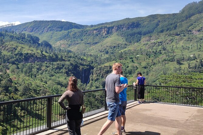 Half-Day Private Trip to Waterfalls and Tea Factory - Who will get the most from this tour