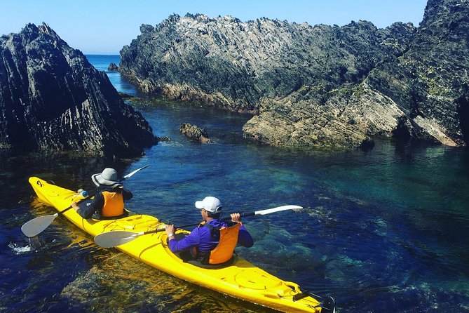 Half Day Sea Kayak Tour from Batemans Bay with Morning Tea - What the 7:30 am start means for your day