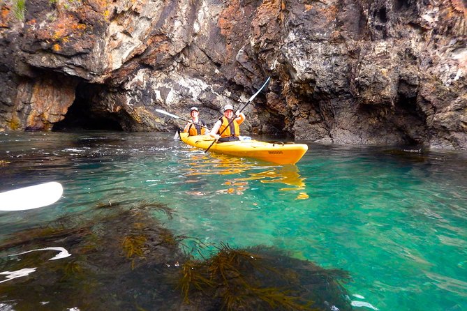 Half Day Sea Kayak Tour from Batemans Bay with Morning Tea - Snorkeling, swimming, and changing sea conditions