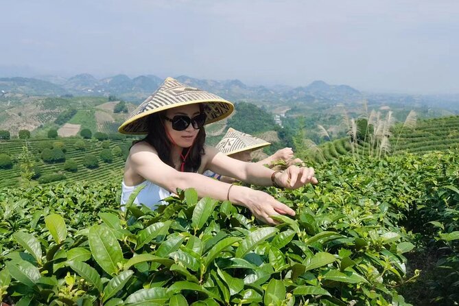 Half-day Tour: Largest Tea Plantation & Amazing Xianggong Hill - What the price includes at $107