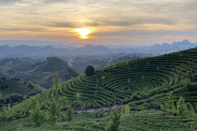 Half-day Tour: Largest Tea Plantation & Amazing Xianggong Hill - The road to Xianggong Hill