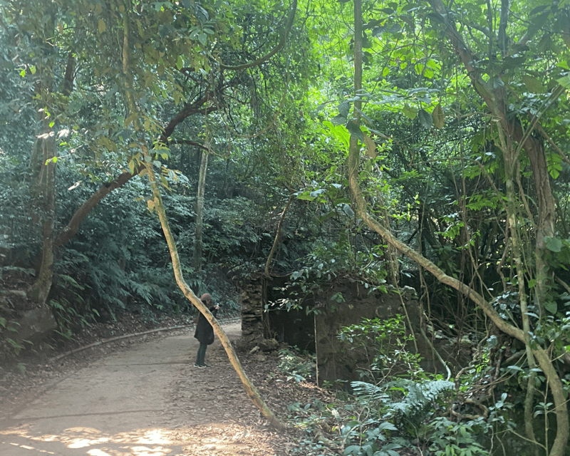 Hanoi Eco Tour: Ba Vi National Park Wonders & Tea Plantation - Why Ba Vi makes a good change from Hanoi