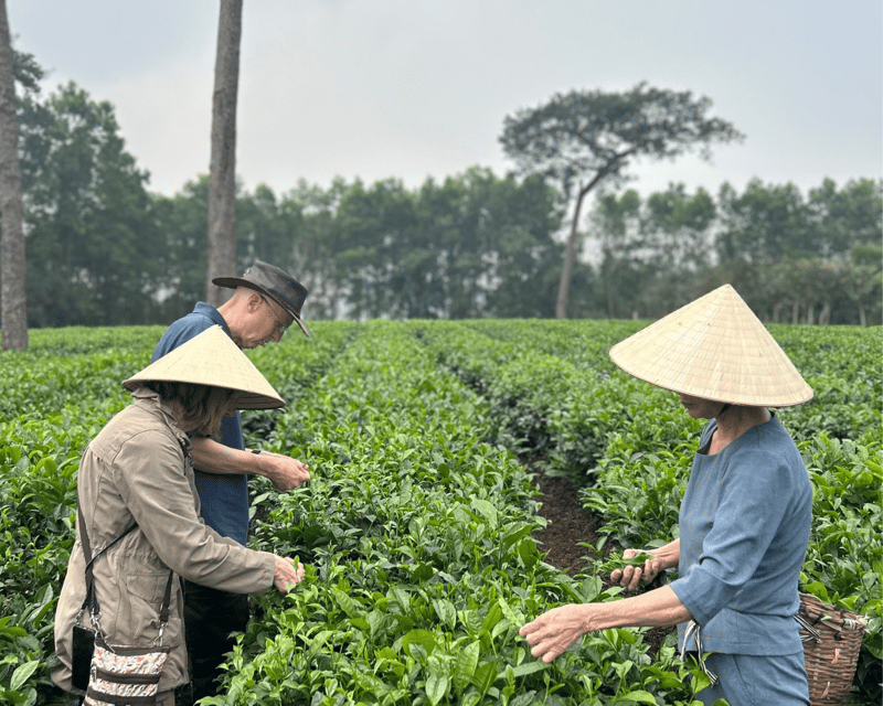 Hanoi Eco Tour: Ba Vi National Park Wonders & Tea Plantation - Seeing the old prison reclaimed by nature