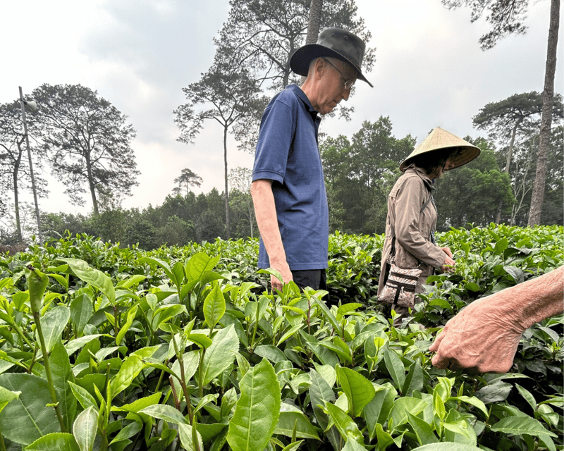 Hanoi Eco Tour: Ba Vi National Park Wonders & Tea Plantation - Lunch with mountain flavors