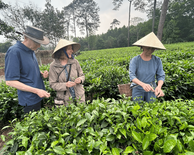 Hanoi Eco Tour: Ba Vi National Park Wonders & Tea Plantation - Meeting Mr. Duoc at the tea plantation