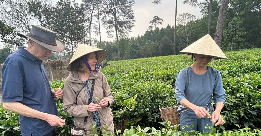 Hanoi Eco Tour: Ba Vi National Park Wonders & Tea Plantation - Who should book this Ba Vi day trip