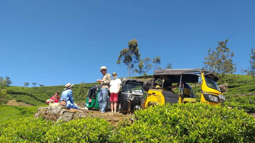 Haputale:Glorious Tuk Tuk Ride to Lipton'sSeat & Tea Factory - Lipton’s Seat and the story behind the name