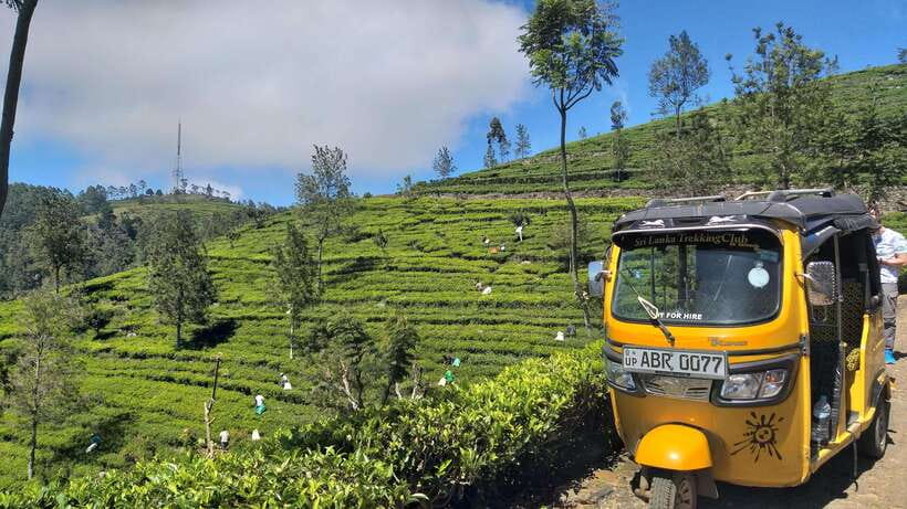 Haputale:Glorious Tuk Tuk Ride to Lipton'sSeat & Tea Factory - Practical advice for a smoother morning or afternoon