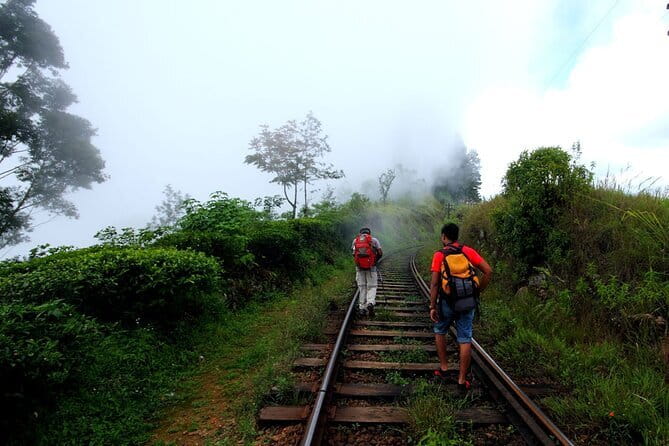 Haputale Tea Estate Walking Tour From Ella - Key points at a glance
