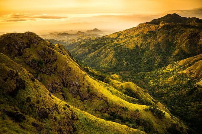 Haputale Tea Estate Walking Tour From Ella - Who should book this Haputale walk