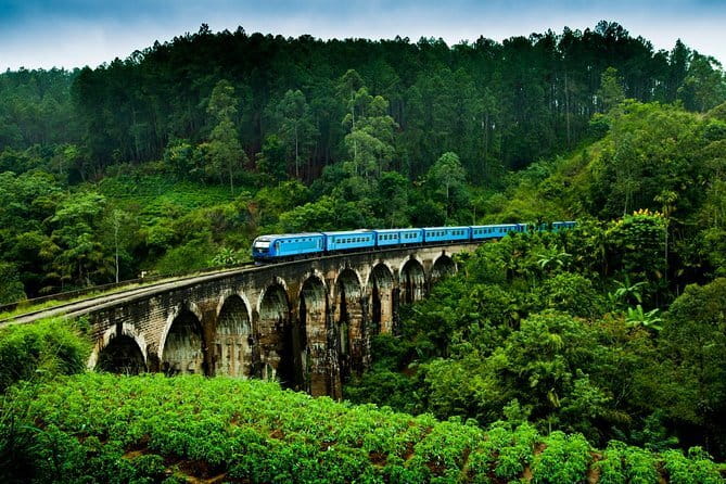 Haputale Tea Estate Walking Tour From Ella - Practical details before you go