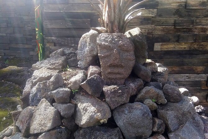 Hawaiian Tikis and Guava Tea - Lava rock sculptures with a Rasta stone figure