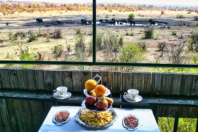 High Tea in the Savannah, Catering by Victoria Falls Hotel - Key points to know before booking
