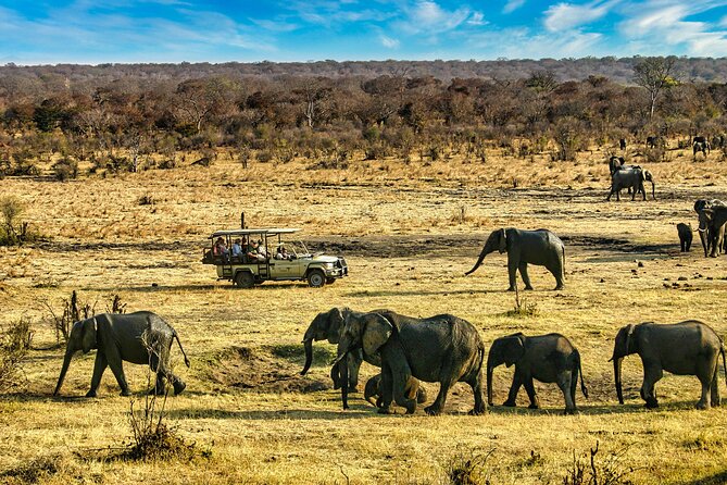 High Tea in the Savannah, Catering by Victoria Falls Hotel - Returning through the sunset bush