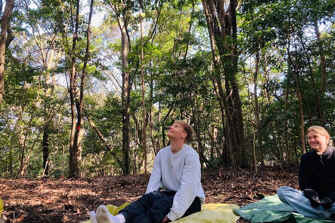 Hiroshima Local guided Hiking Tour&Open-air Tea Ceremony - Forest bathing and a quieter pace