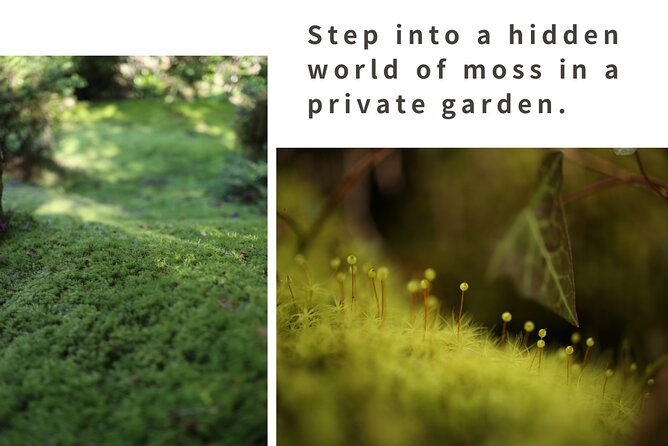 Home Experience: Tea Ceremony & Moss Garden Walk(Day trip) - A quiet side of Hiroshima begins at JR Kabe Station