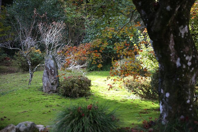 Home Experience: Tea Ceremony & Moss Garden Walk(Day trip) - A choice of river, forest, or local activities