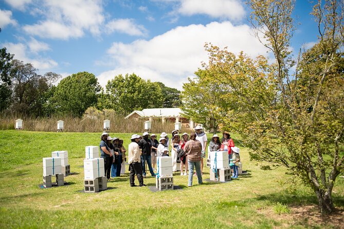 Honey Farm Tour. Morning Tea. Guided Tasting - Who will enjoy this most
