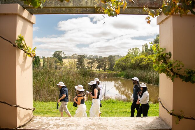 Honey Farm Tour. Morning Tea. Guided Tasting - Is the Bowral Honey Farm tour worth booking?