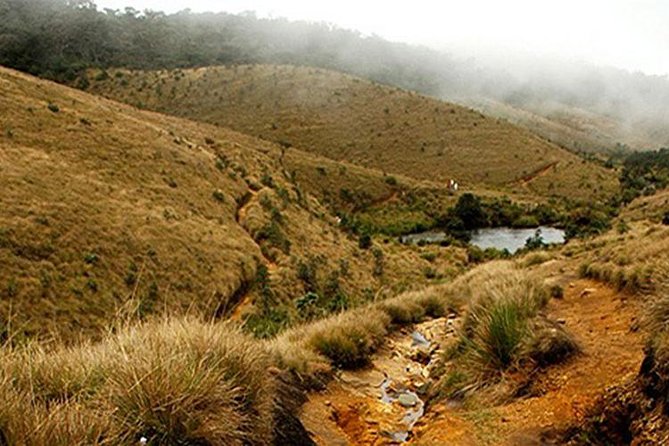 Horton Plains-World's End Tour and Tea Factory Tour From Nuwaraeliya - Key points to know before you book