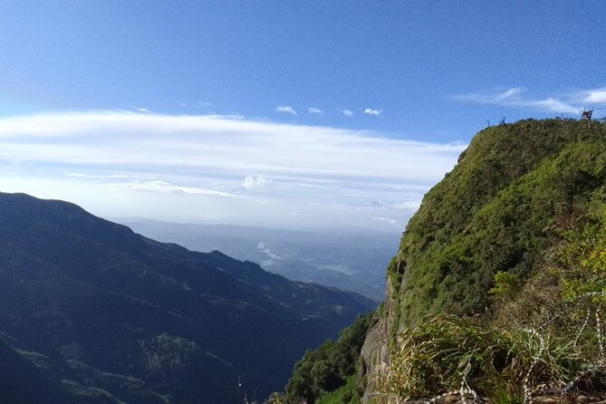 Horton Plains-World's End Tour and Tea Factory Tour From Nuwaraeliya - Why the early start matters at World’s End