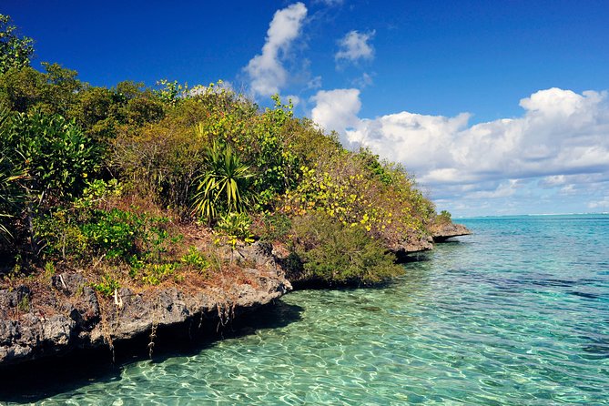Ile aux Aigrettes - Tea Route - Gris Gris Private Guided Tour (Min. 2 persons) - Why This Full-Day Route Works