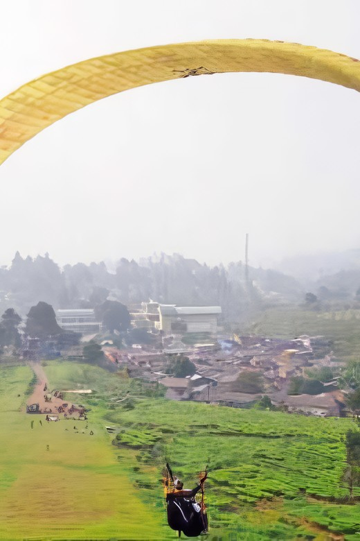 Jakarta: Paragliding on Top Mountain & Tea Plantation - Should you book the Jakarta paragliding and tea plantation tour?
