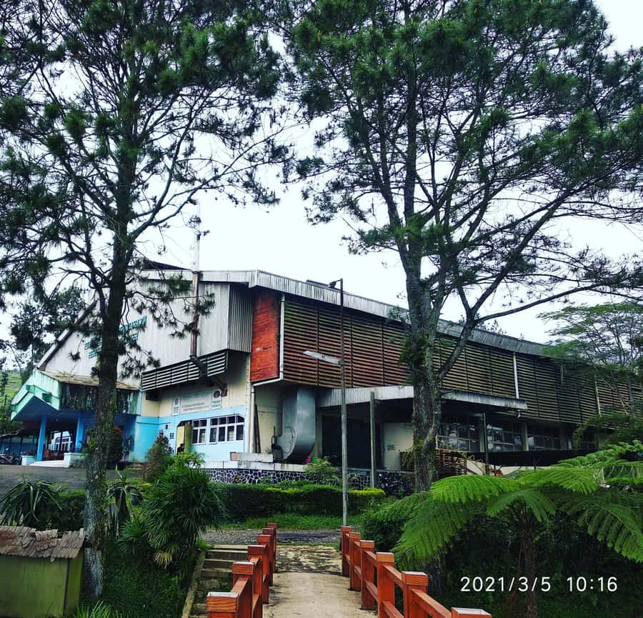 Jakarta :Volcano, HotSpring, Tea Factory, RiceField, &Coffee - Why this West Java day trip works