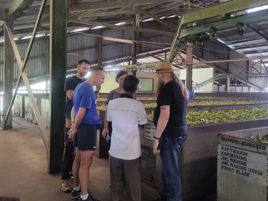 Jakarta :Volcano, HotSpring, Tea Factory, RiceField, &Coffee - What the $123 price really covers