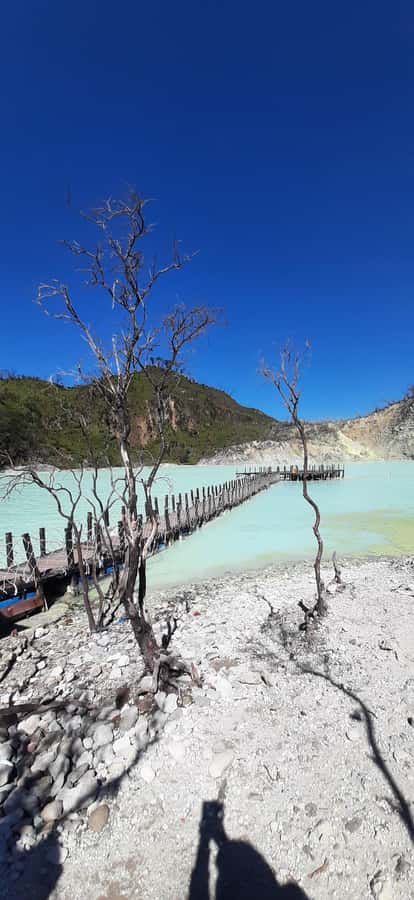 Jakarta: Waterfalls, Volcano, White Crater, Tea, Hot Spring - Curug Daun adds another stop